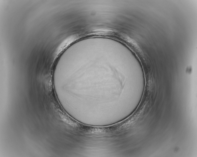 X0000093591362200711051129