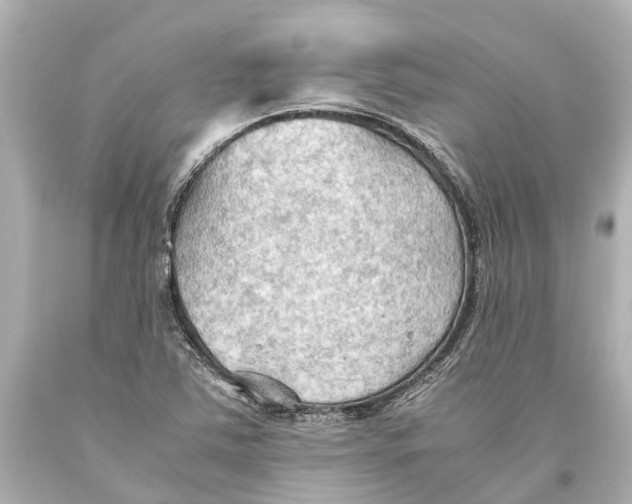 X0000093591363200711051129