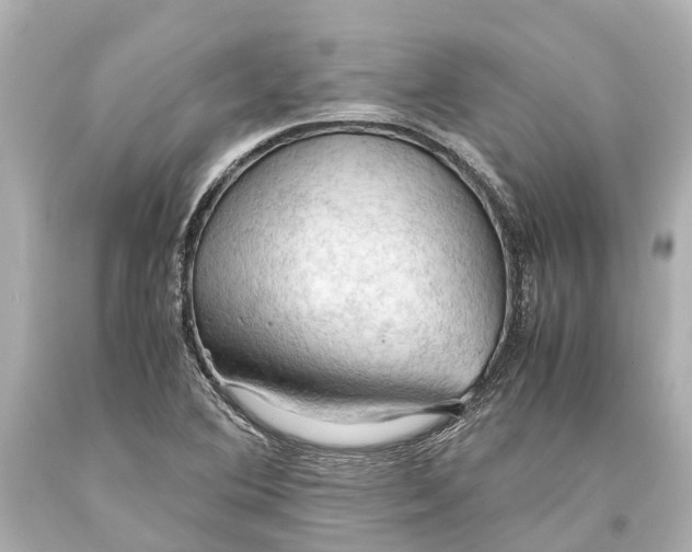 X0000093591364200711051129