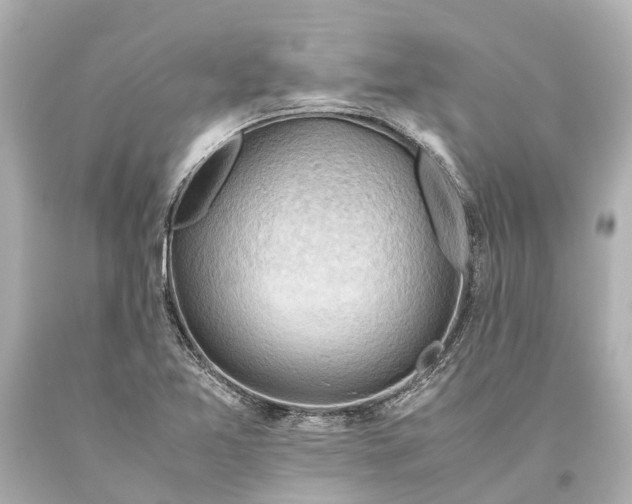 X0000093591365200711051129