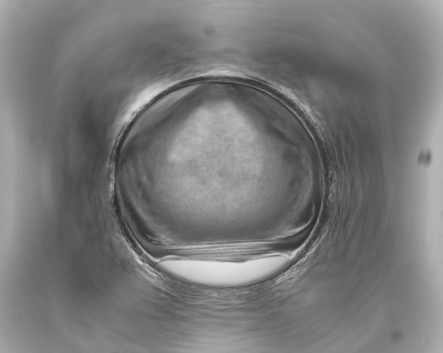 X0000093591367200711051129
