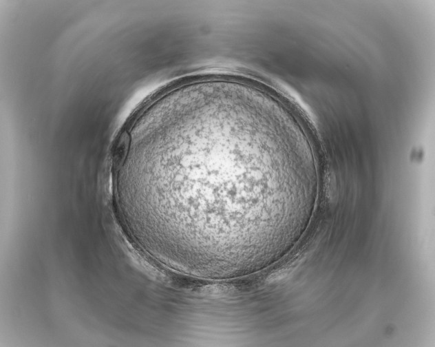 X0000093591368200711051129