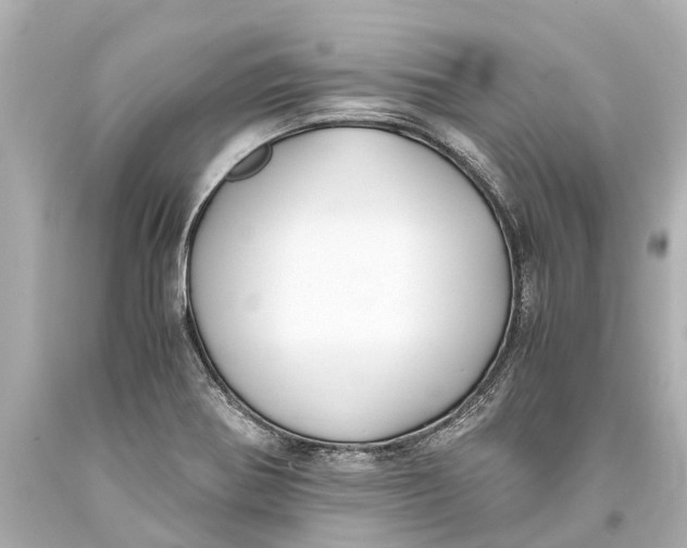 X0000093591370200711051129