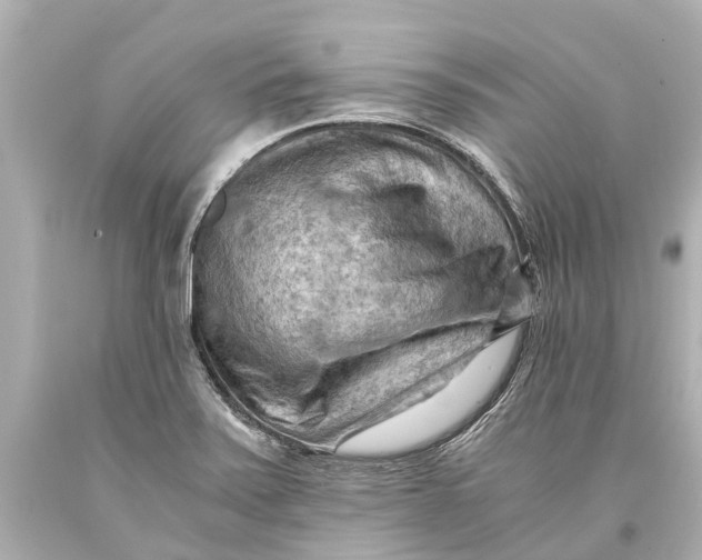 X0000093591371200711051129
