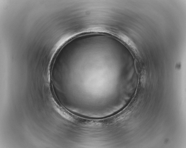 X0000093591372200711051129