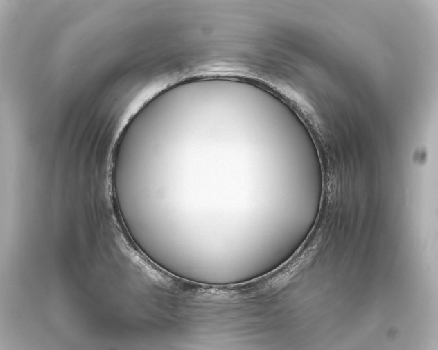 X0000093591374200711051129