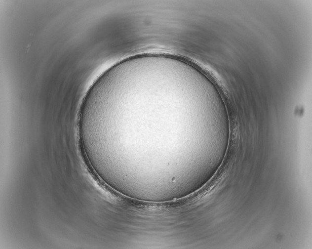 X0000093591375200711051129