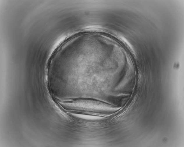 X0000093591376200711051129
