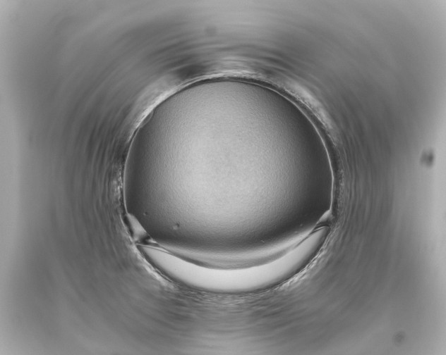 X0000093591377200711051129