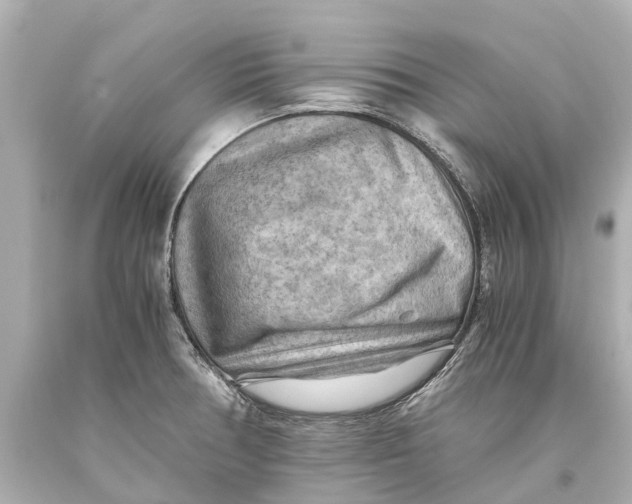 X0000093591378200711051129