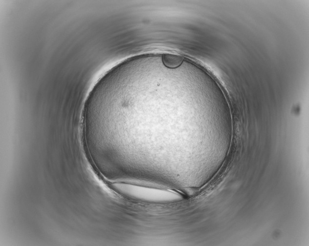 X0000093591379200711051129