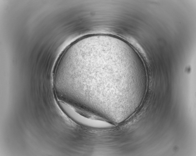 X0000093591380200711051129