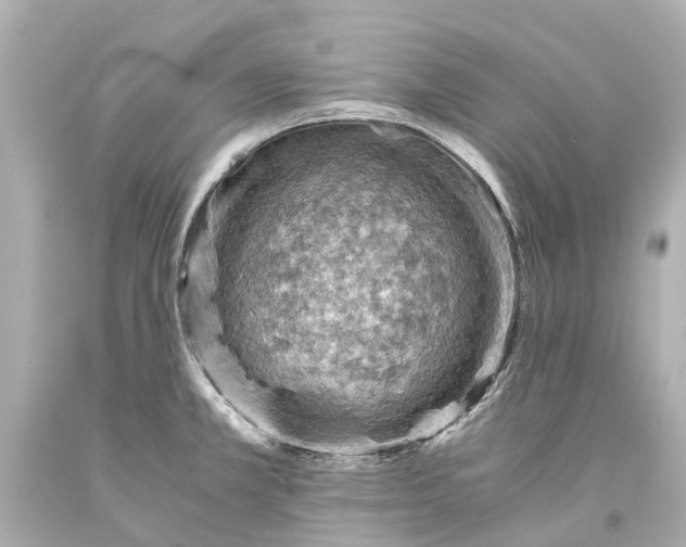 X0000093591381200711051129