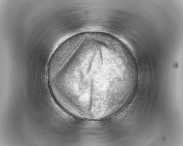 X0000093591382200711051129