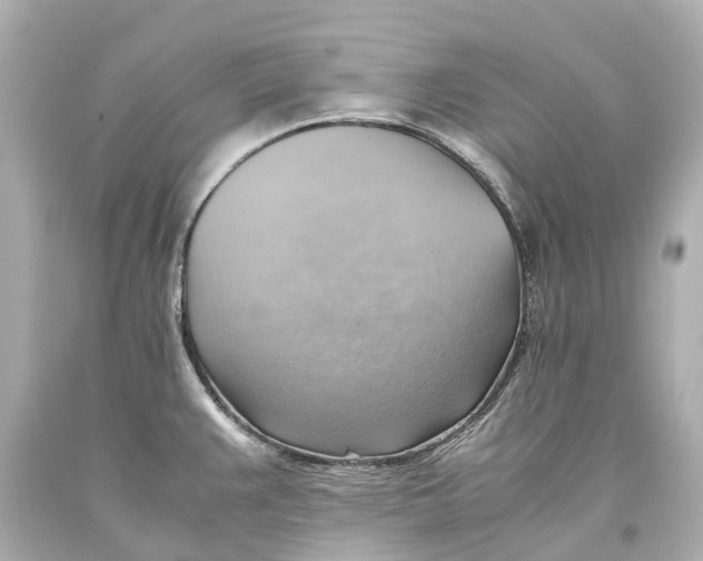 X0000093591383200711051129