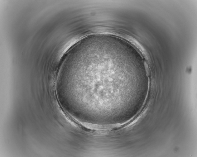 X0000093591385200711051129