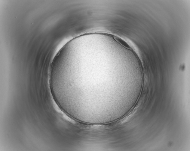 X0000093591390200711051129
