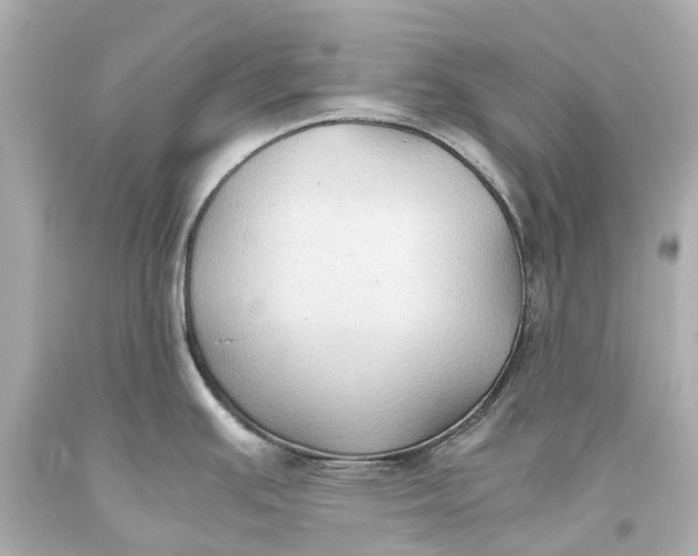 X0000093591391200711051129