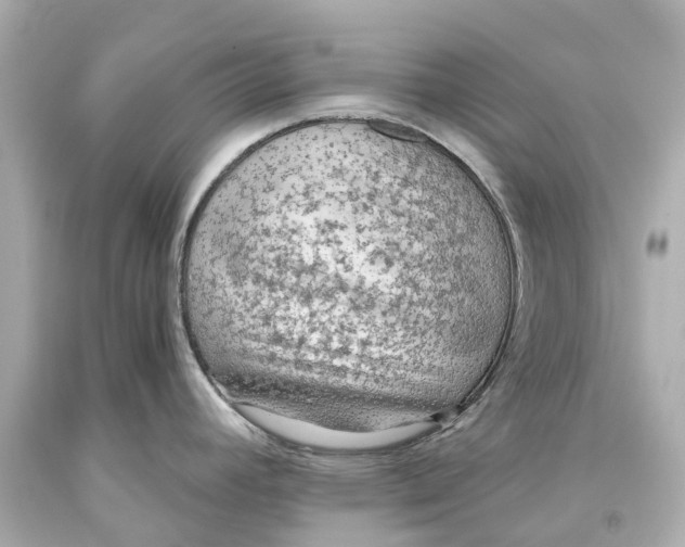 X0000093591392200711051129
