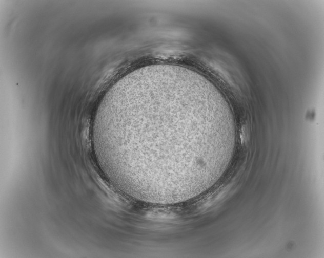 X0000093591396200711051129