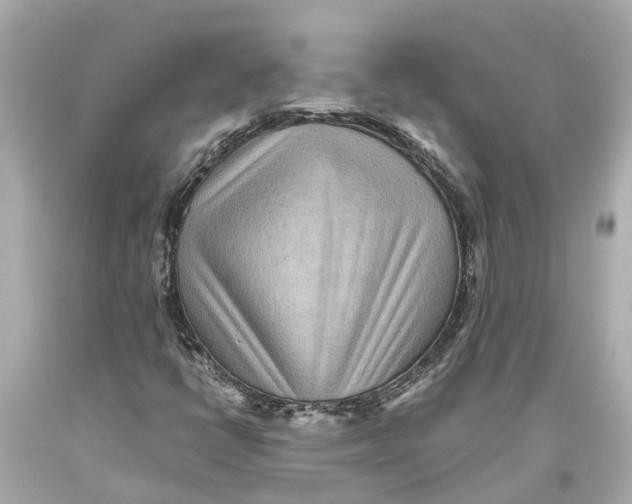 X0000093591398200711051129