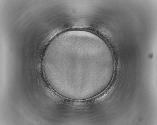 X0000093591401200711051129