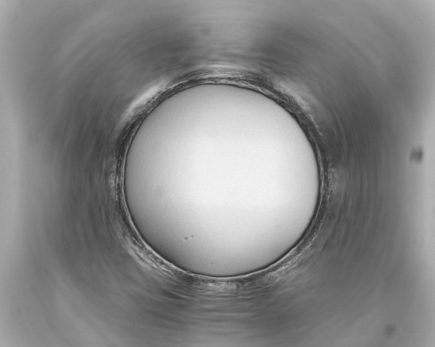 X0000093591403200711051129
