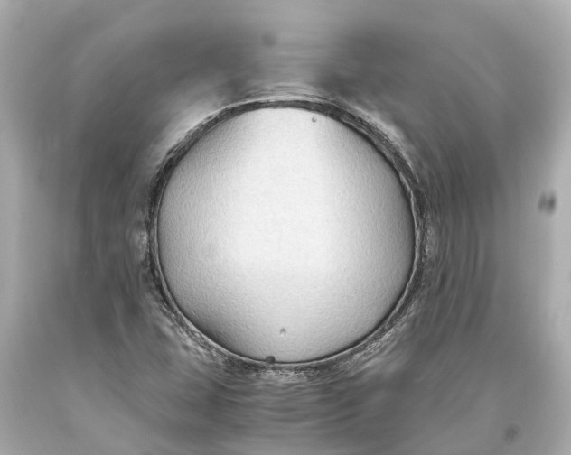 X0000093591407200711051129