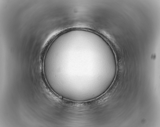 X0000093591408200711051129