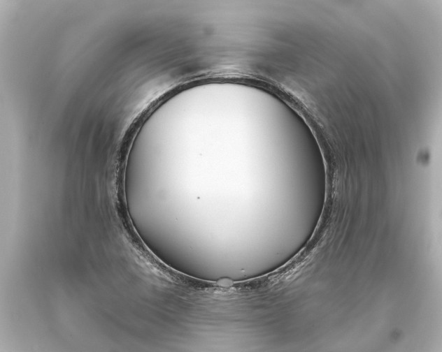 X0000093591410200711051129