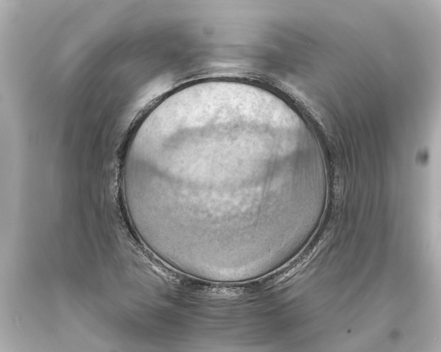 X0000093591411200711051129