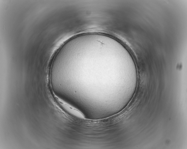 X0000093591415200711051129