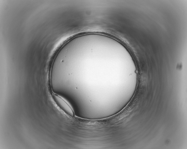 X0000093591416200711051129