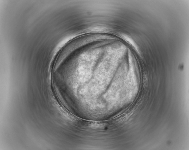 X0000093591419200711051129