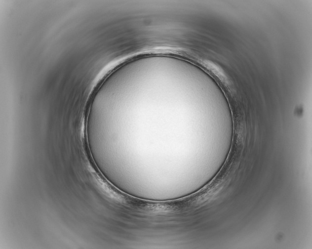 X0000093591420200711051129
