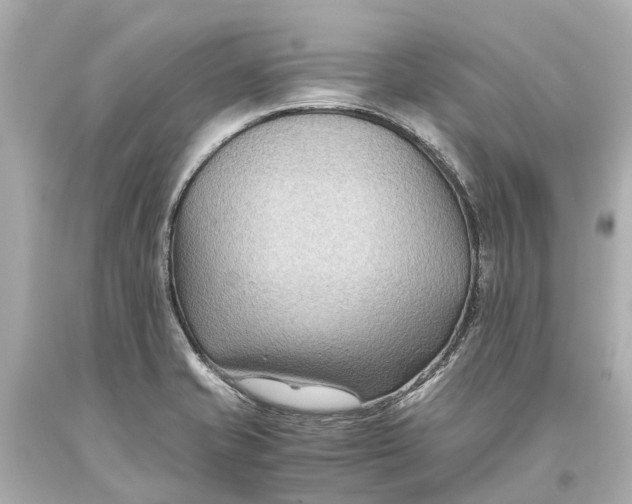 X0000093591421200711051129