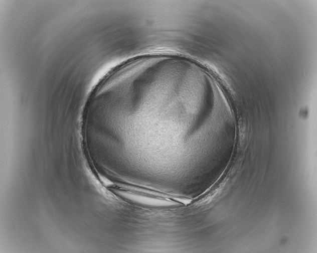 X0000093591422200711051129