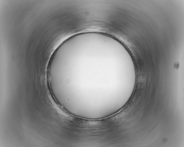 X0000093591423200711051129