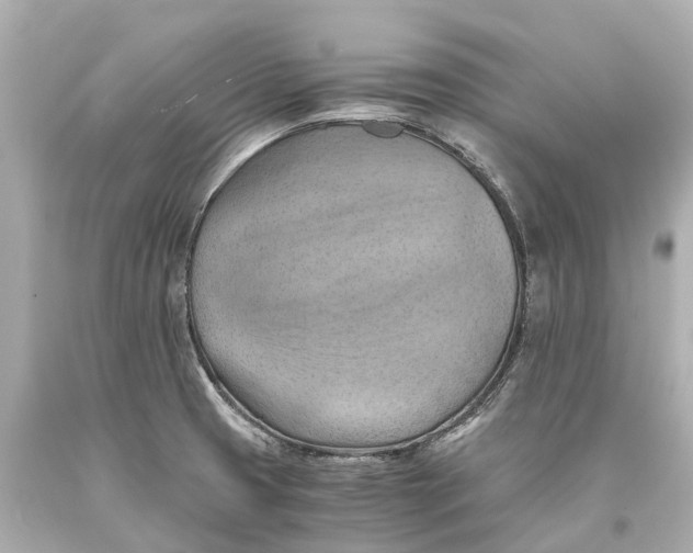 X0000093591425200711051129