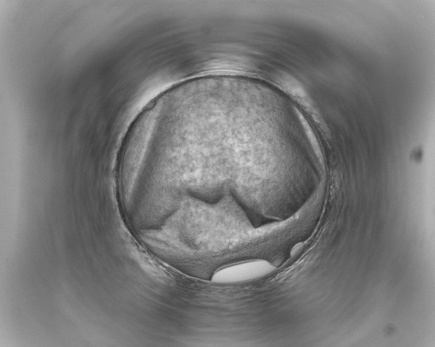 X0000093591427200711051129