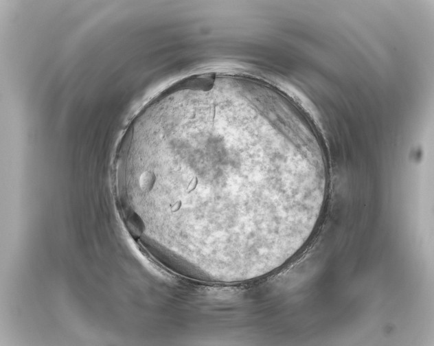 X0000093591429200711051129