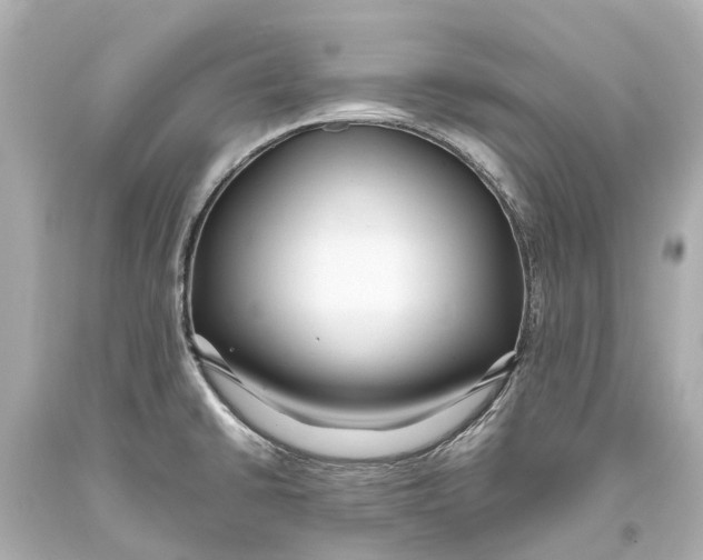 X0000093591430200711051129