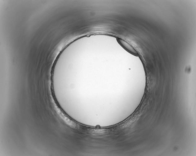 X0000093591431200711051129