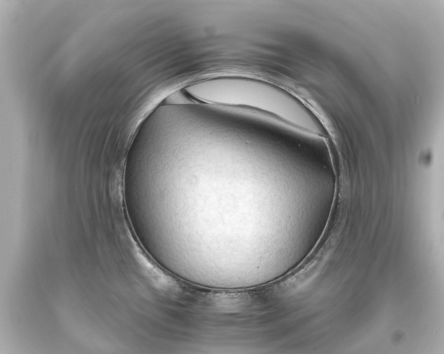 X0000093591433200711051129