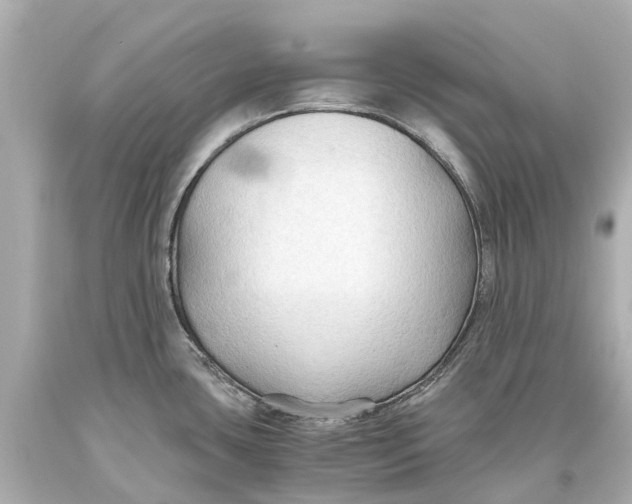 X0000093591435200711051129