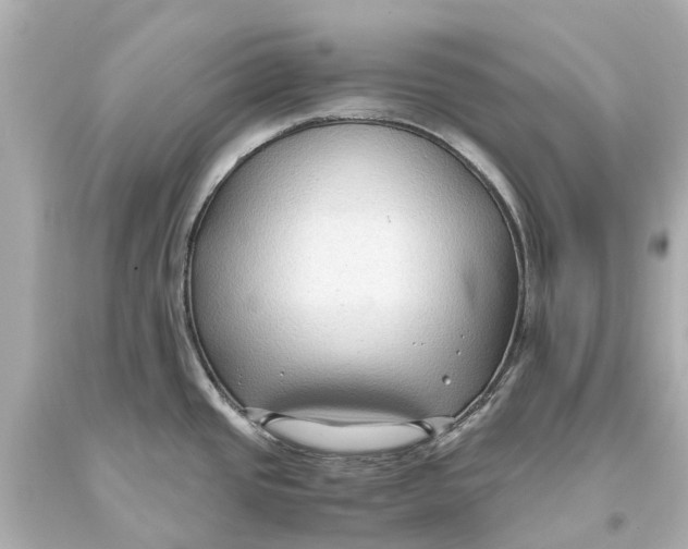 X0000093591437200711051129