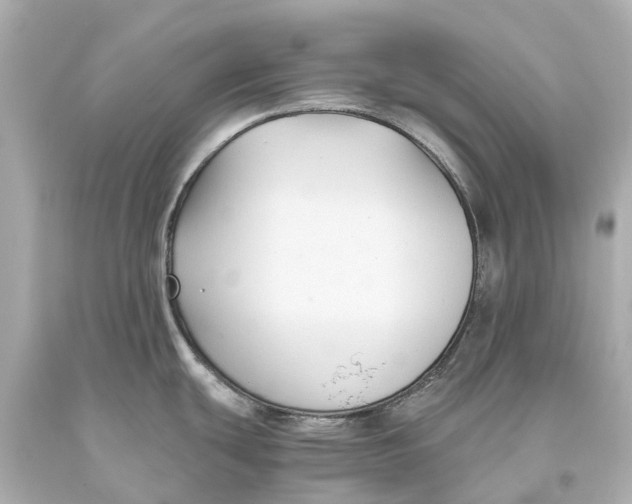 X0000093591439200711051129
