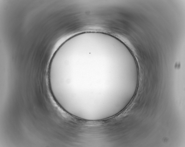 X0000093591440200711051129