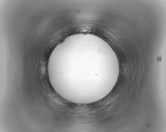 X0000093591442200711051128