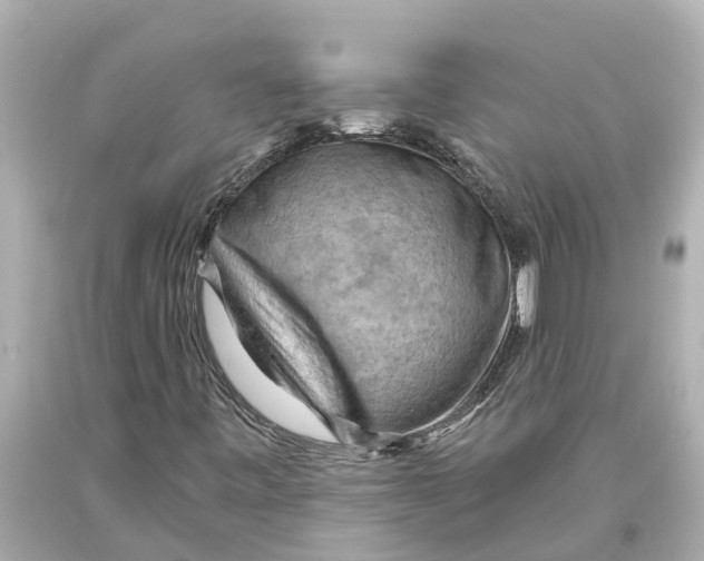 X0000093591443200711051128